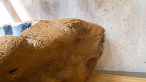 Каменная раковина Hector M141 из окаменелого дерева Petrified Blackwood ИНДОНЕЗИЯ 00775211141 для ванной_8