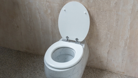 Каменный крышка унитаза Cap Standard из белого камня - мрамора Bianco Carrara_4