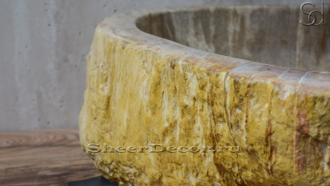 Каменная мойка Hector M36 из окаменелого дерева Petrified Beigewood ИНДОНЕЗИЯ 0079021136 для ванной_3
