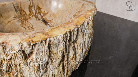 Каменная мойка Hector M47 из окаменелого дерева Petrified Beigewood ИНДОНЕЗИЯ 0079021147 для ванной_4
