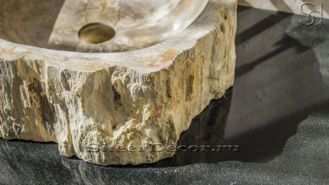 Каменная раковина Hector M27 из окаменелого дерева Petrified Beigewood ИНДОНЕЗИЯ 0079021127 для ванной_5