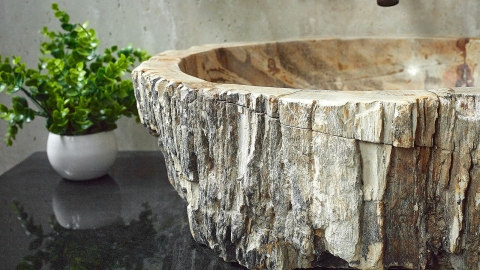 Накладная раковина для ванной Hector из окаменелого дерева Petrified Beigewood_8