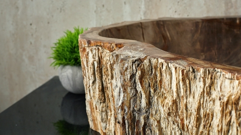 Каменная мойка Hector M187 из окаменелого дерева Petrified Beigewood ИНДОНЕЗИЯ 00790211187 для ванной_4