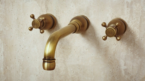 Врезной смеситель для раковины Nest Bubble из латуни сорта Brass Brushed ИНДИЯ 569353102_1