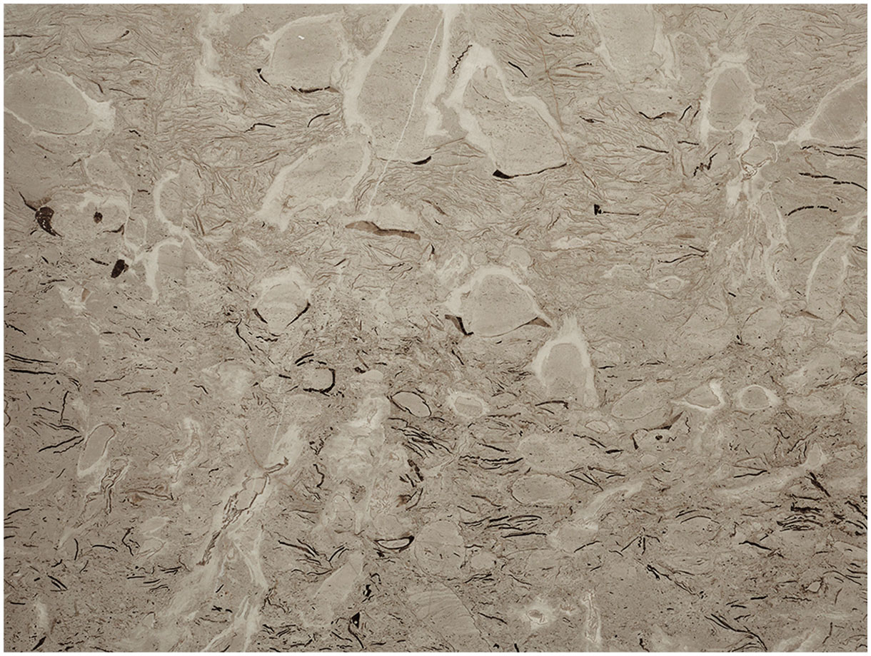 Мраморная столешница прямоугольной формы RecTop из серого камня Lido Grey_2