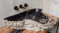 Каменная раковина природной формы Hector AN44 из черного дерева Petrified Blackwood_1