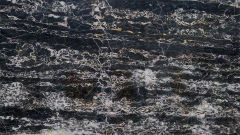 Мраморная плитка и слэбы из натурального мрамора Nero Portoro черного цвета_2