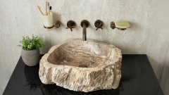 Накладная раковина для ванной Hector из окаменелого дерева Petrified Beigewood_3