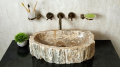 Накладная раковина для ванной Hector из окаменелого дерева Petrified Beigewood_1