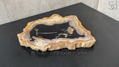 Поднос на столешницу  Rosie из натурального дерева окаменелого дерева Petrified Blackwood_1