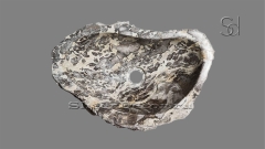 Мраморная раковина природной формы Hector из серого камня Wild Stone_1