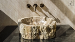Каменная раковина природной формы Hector AN29 из бежевого дерева Petrified Beigewood_2