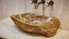 Накладная раковина для ванной Hector из окаменелого дерева Petrified Brownwood_1