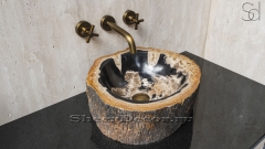 Каменная раковина природной формы Hector 4A из черного дерева Petrified Blackwood_1