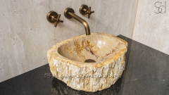 Каменная раковина природной формы Hector 7A из бежевого дерева Petrified Beigewood_1