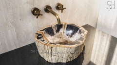 Каменная раковина природной формы Hector 8A из черного дерева Petrified Blackwood_1