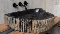 Каменная раковина природной формы Hector AN46 из черного дерева Petrified Blackwood_1