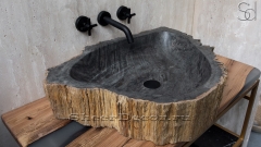 Каменная раковина природной формы Hector AN51 из черного дерева Petrified Blackwood_1