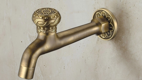 монокран для раковины Zekla Grape L с глянцевой фактурой из латуни сорта Brass Brushed ИНДИЯ 703353113_1